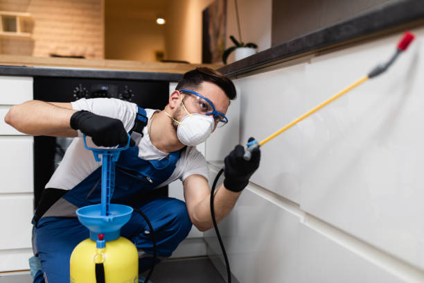 Best Wasp Removal Services  in Limestone, IL