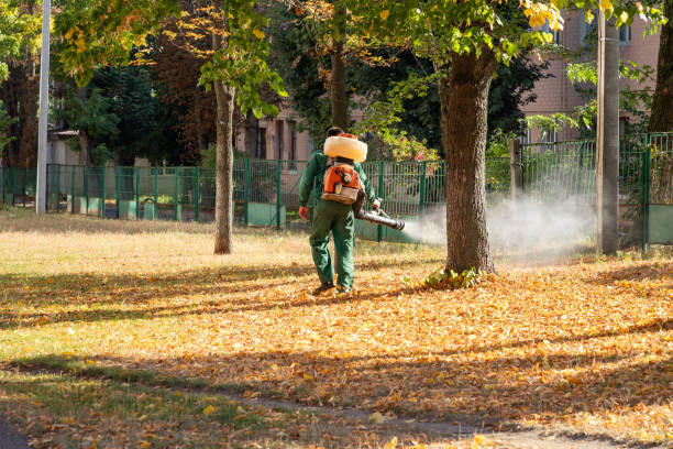 Best Affordable Pest Control Services  in Limestone, IL